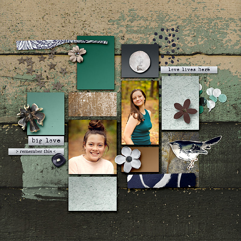 Scrapbook 2023 back cover