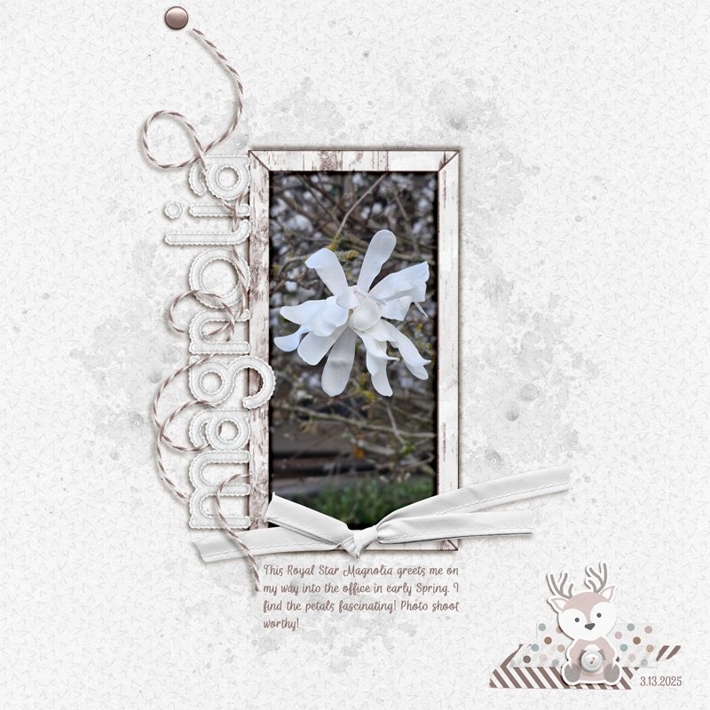 scrapchyck-Magnolia.jpg