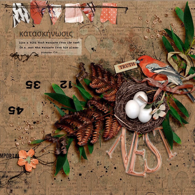scrapchyck-Nest.jpg