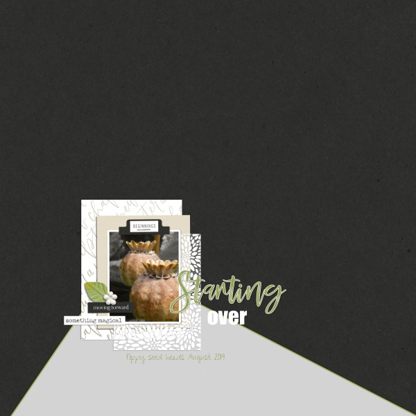 Scraplift Challenge - August 19