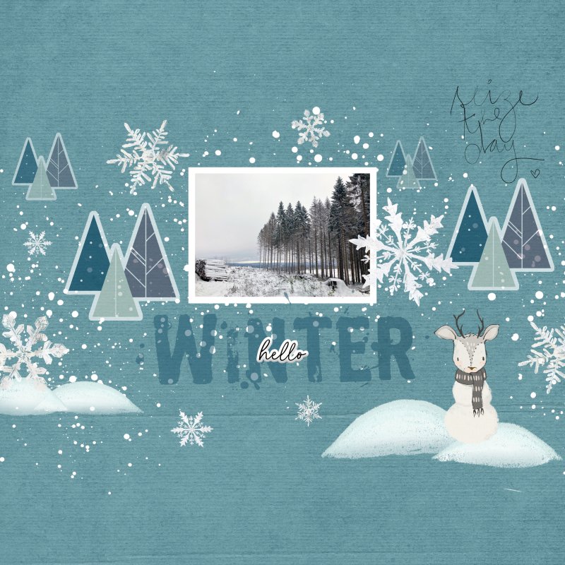 Scraplift Challenge December 2021