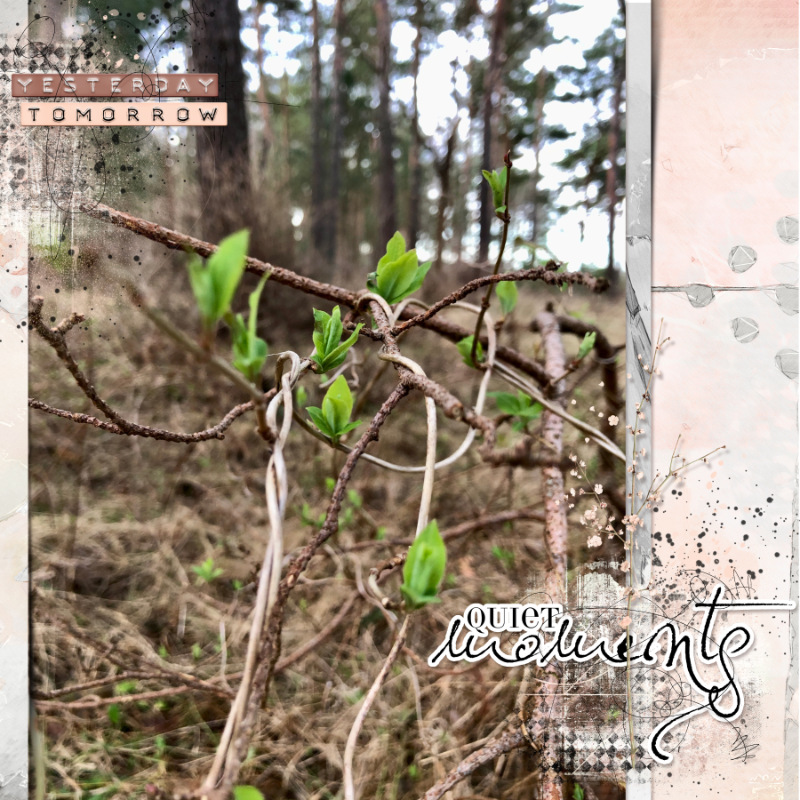 Scraplift challenge February 2024