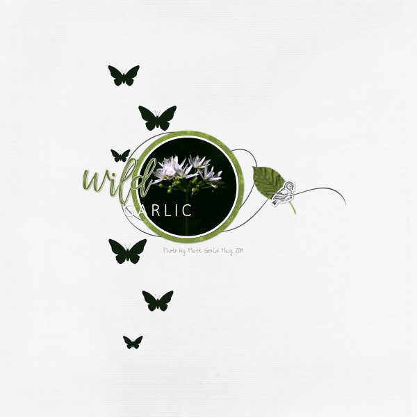 Scraplift Challenge - June 19