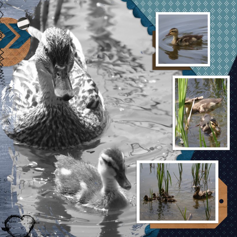 Scraplift Challenge May 2024