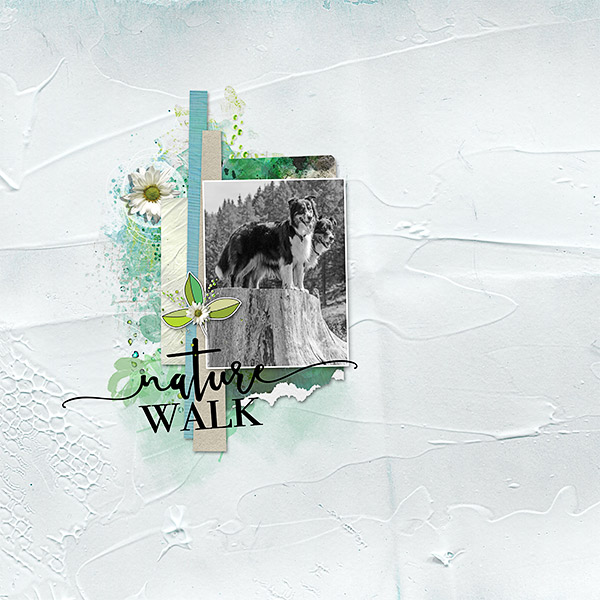 Scraplift Challenge