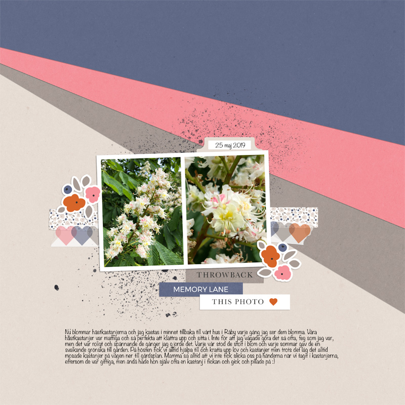 Scraplift Lilypad