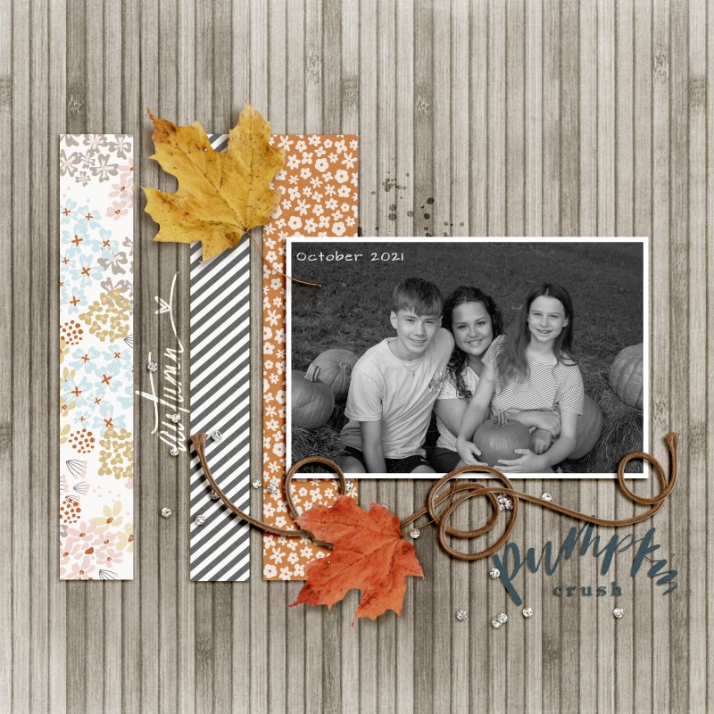 Scraplift_Nov2021