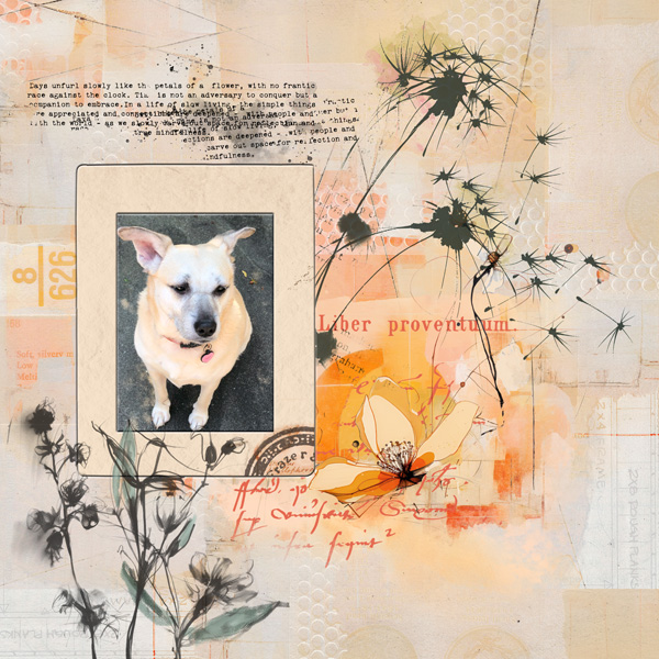 ScrapliftChallenge_May_janisn