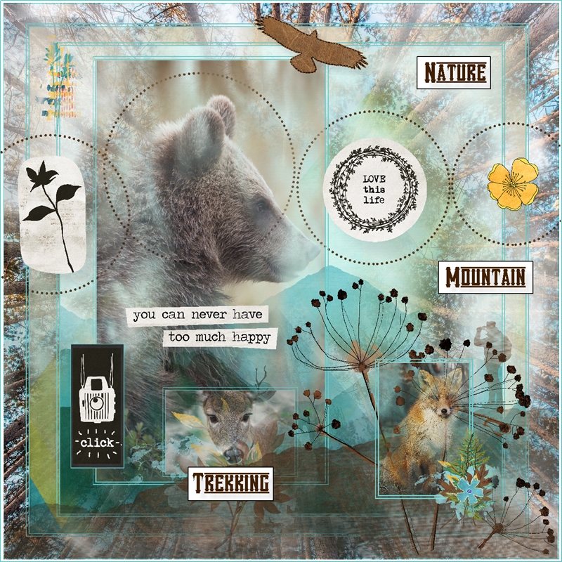 Scrapping With Liz-June-Template Challenge-Curious Nature