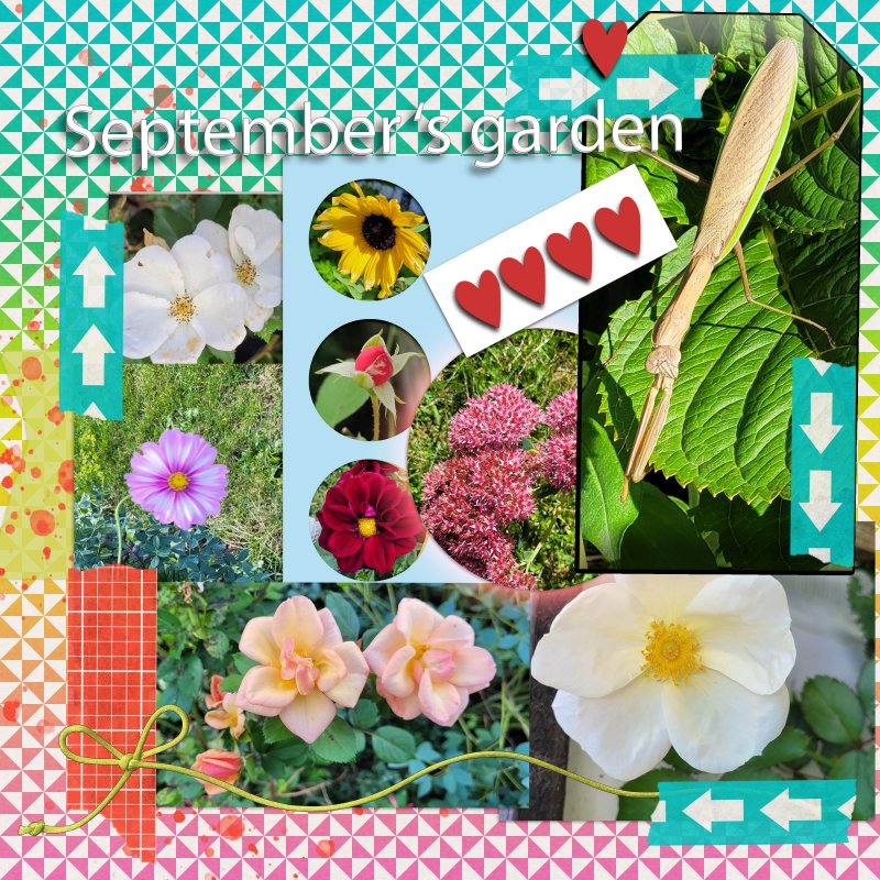Scrapping With Liz September Template Challenge My Septmber 28th Garden