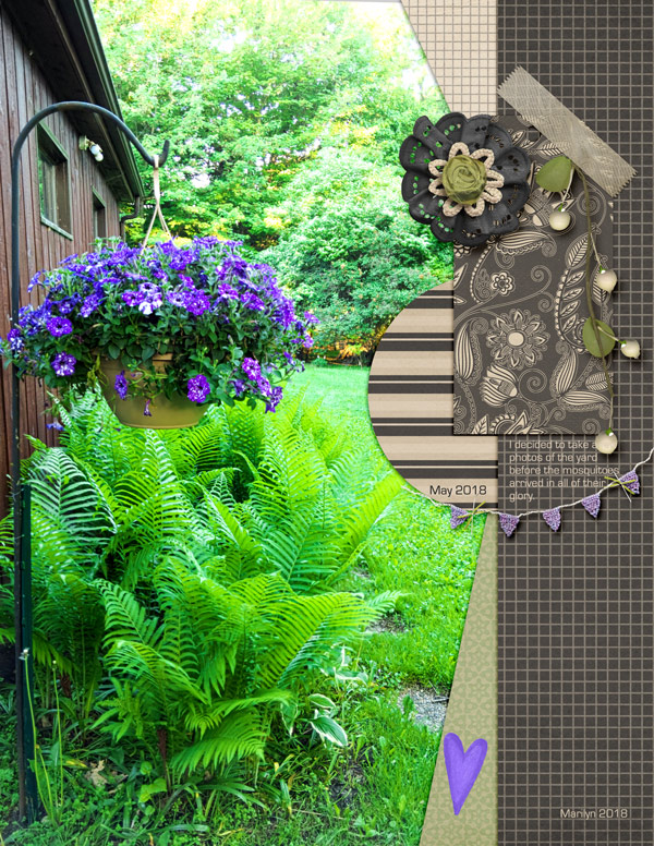 Scrapping-with-Liz_2018-06_June-MIS_web
