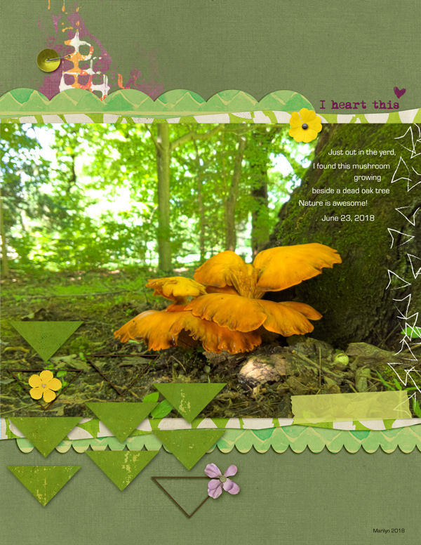 Scrapping-with-Liz_2018-08_August-MIS_web