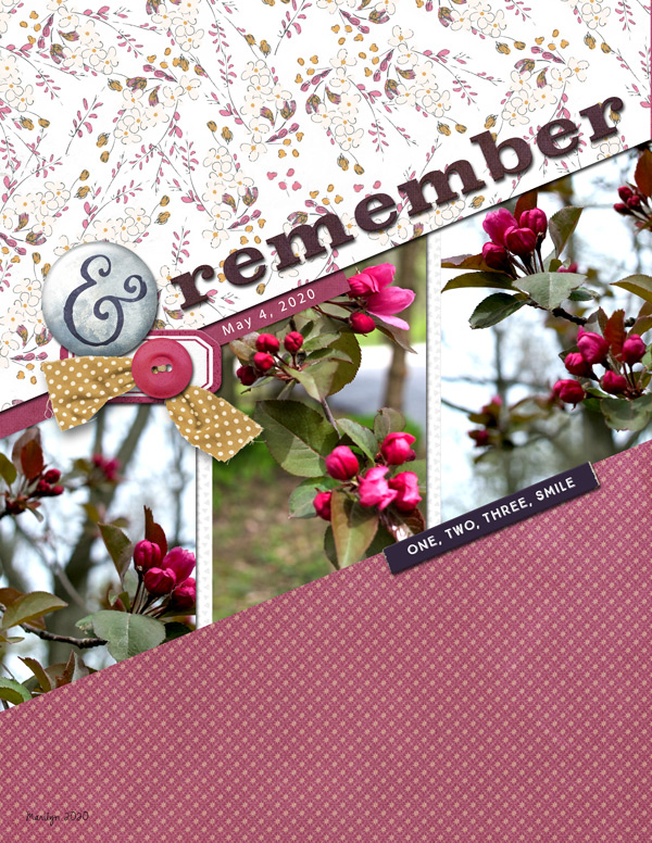 Scrapping-with-Liz_2020-06_June-MIS_web