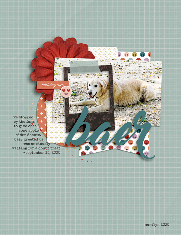 Scrapping-with-Liz_2020-10_October-MIS_web