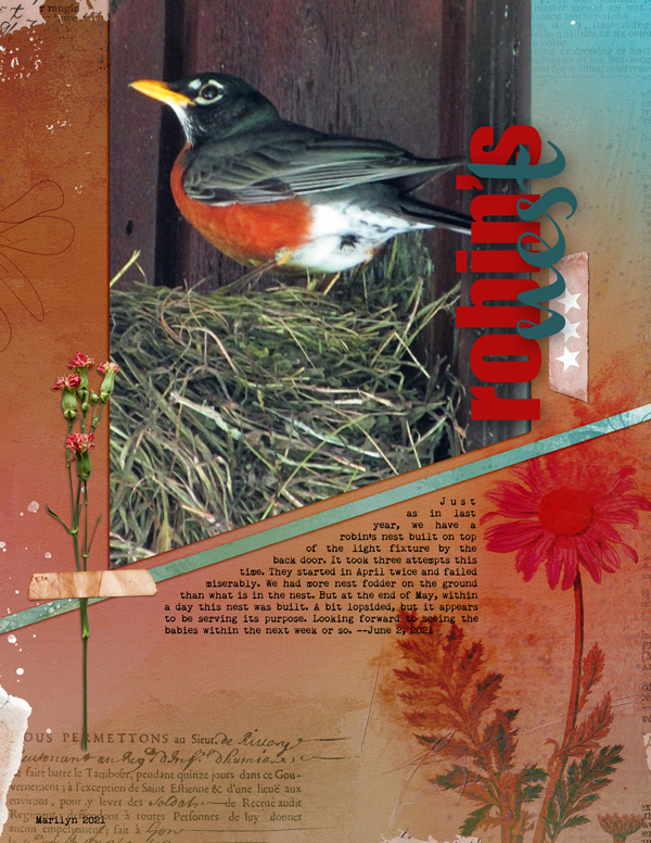 Scrapping-with-Liz_2021-06_June-MIS_web