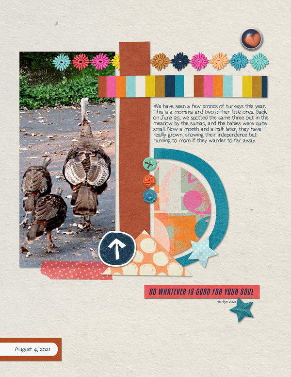 Scrapping-with-Liz_2021-08_August-MIS_web
