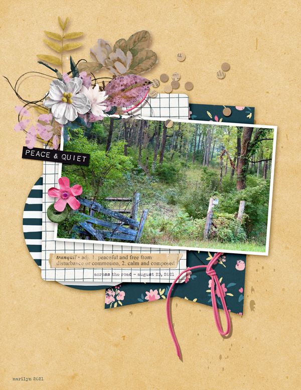 Scrapping-with-Liz_2021-09_September-MIS_web