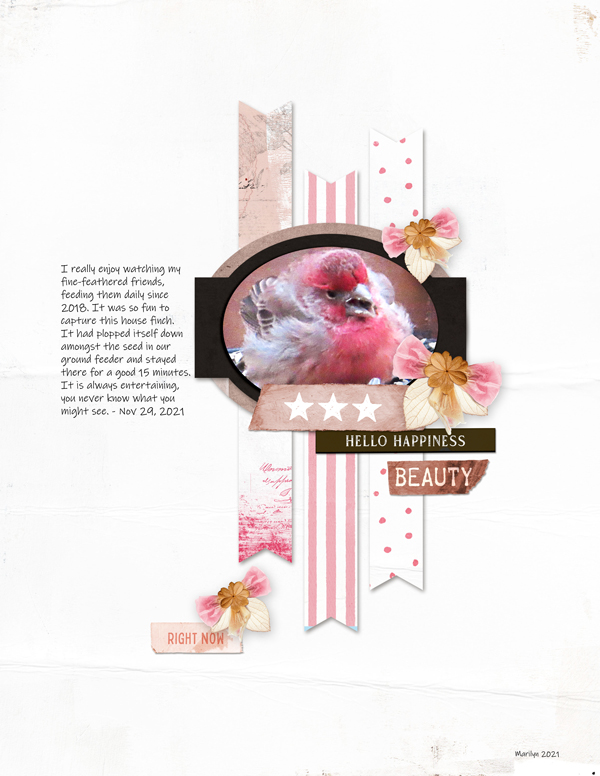Scrapping-with-Liz_2021-12_December-MIS_web