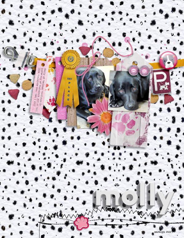 Scrapping-with-Liz_2022-02_February-MIS_web