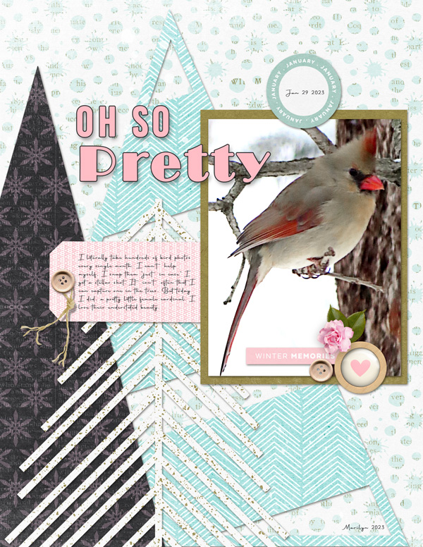 Scrapping-with-Liz_2022-02_February-MIS_web