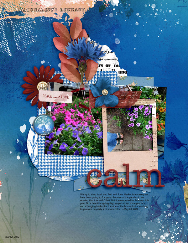 Scrapping-with-Liz_2022-07_July-MIS_web