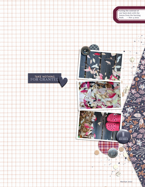 Scrapping-with-Liz_2022-11_November-MIS_web