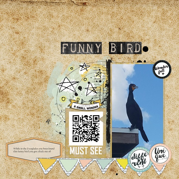 Sea Base 2018  - Funny Bird