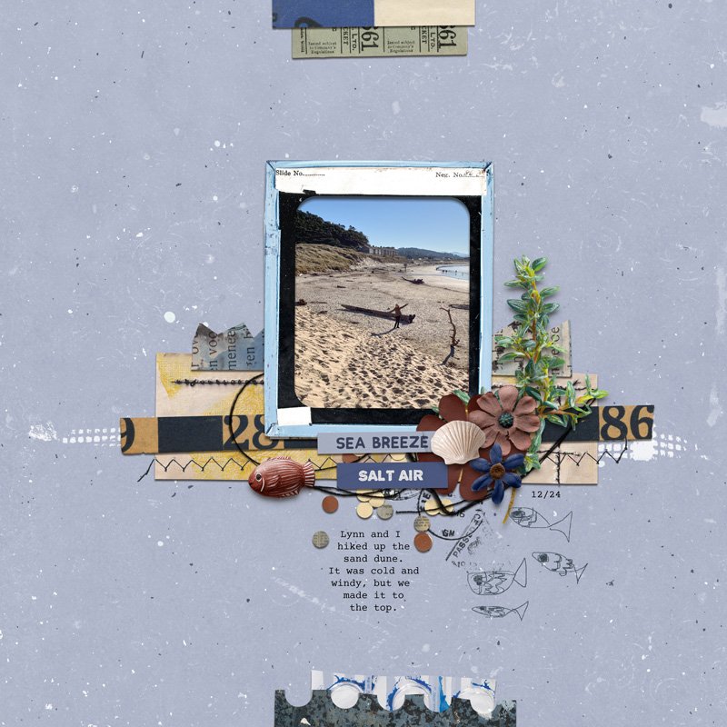 Sea Breeze