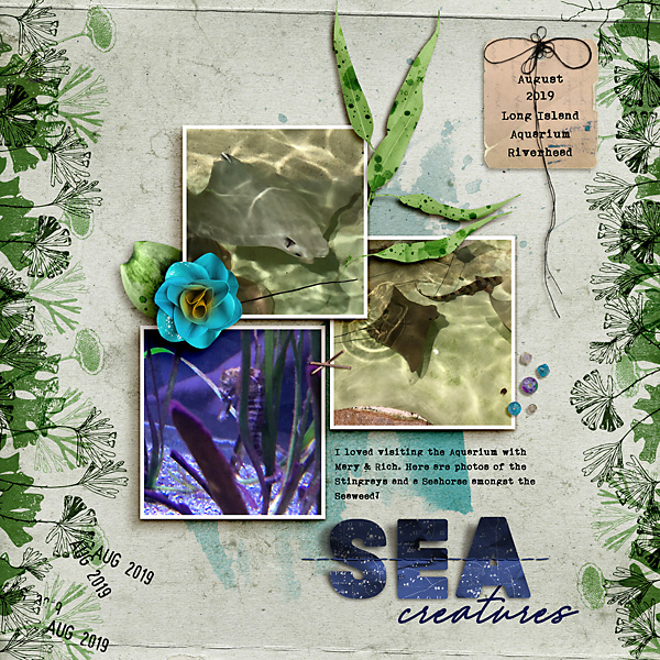 Sea Creatures