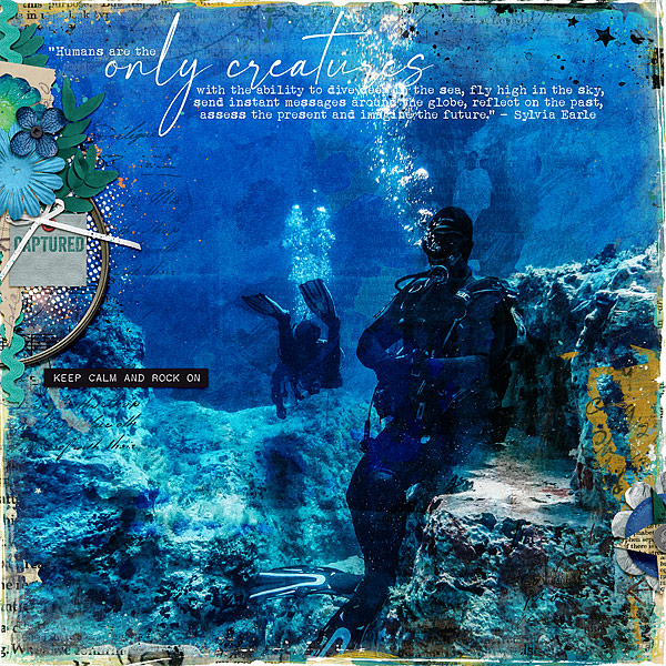 Sea Creatures