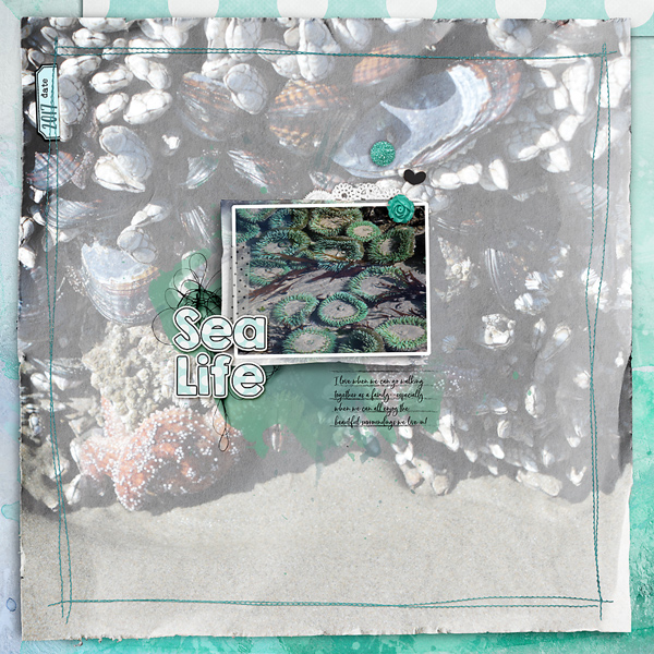 Sea Life (MOC6.5)