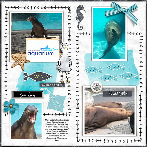 Sea Lions