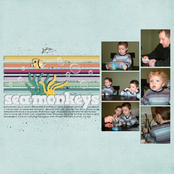 sea monkeys