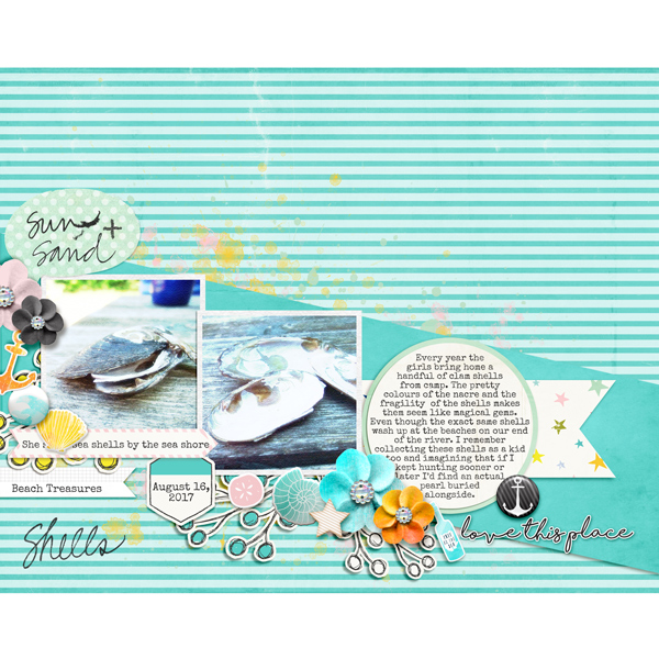 Sea Shells