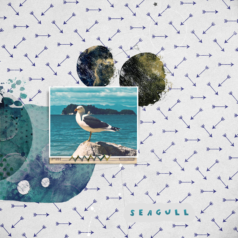 Seagull