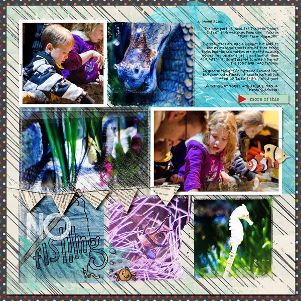 sealife