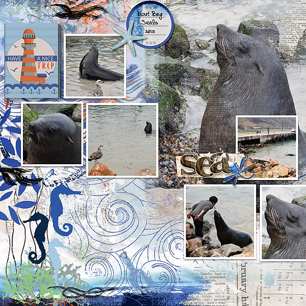 Seals