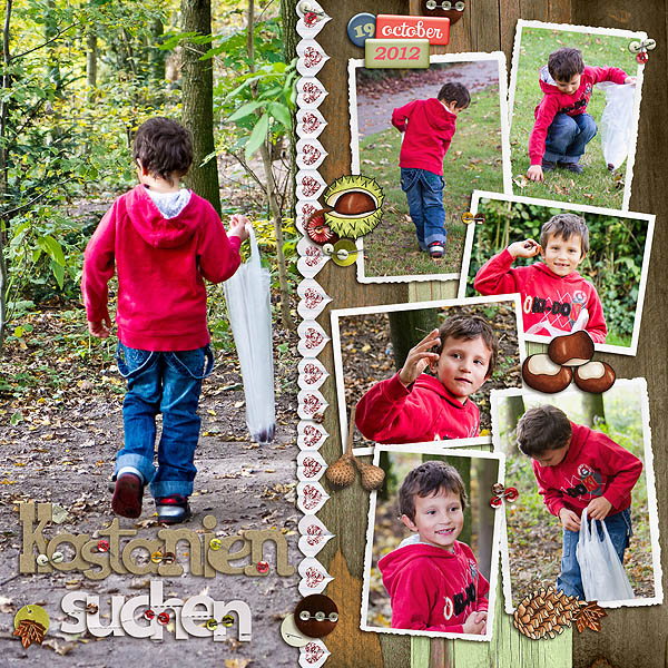 Search Chestnuts