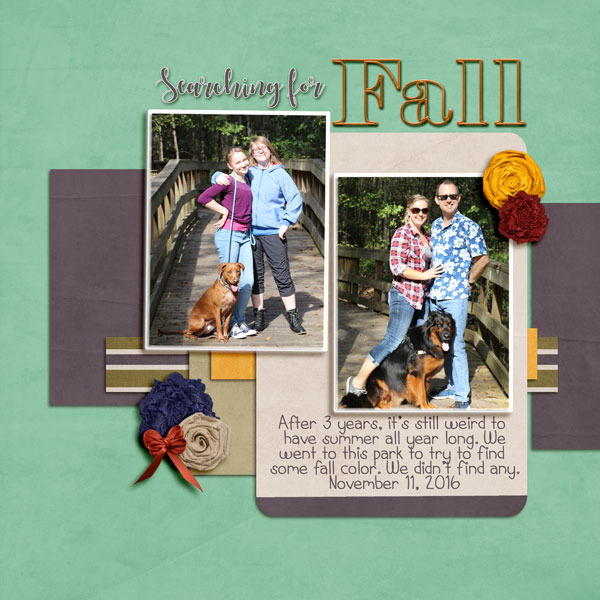 SearchingForFall