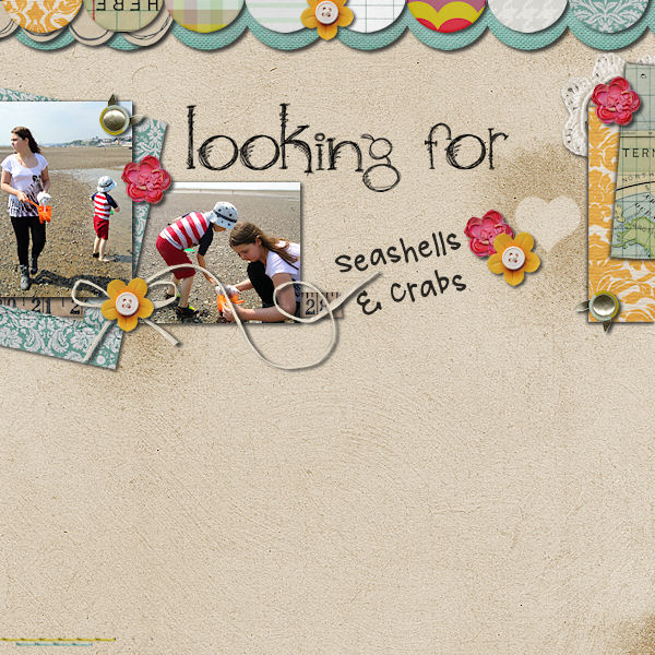 Seashells & Crabs
