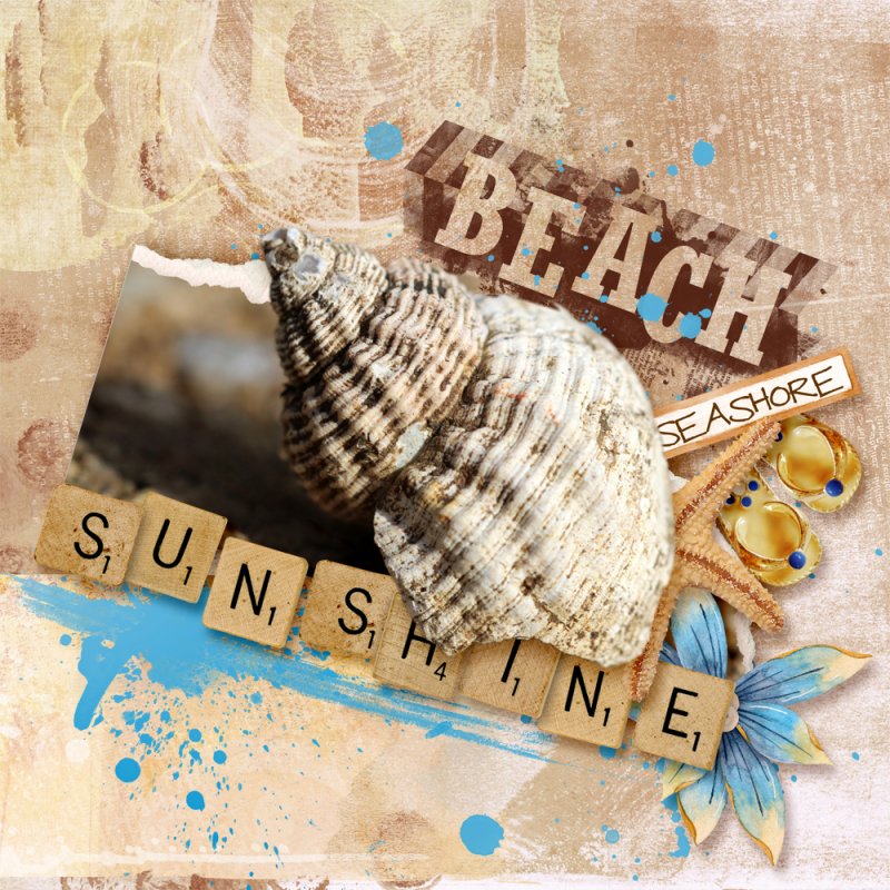 Seashore