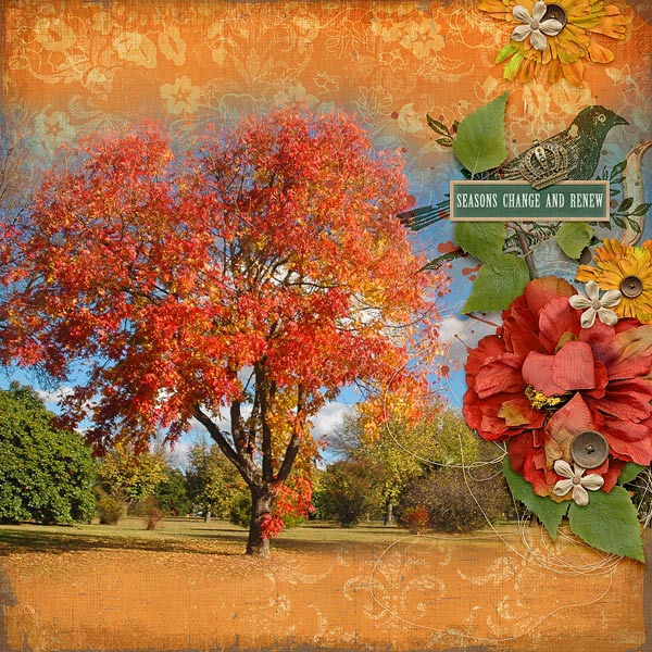 SEASONS CHANGE