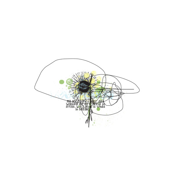 Seed
