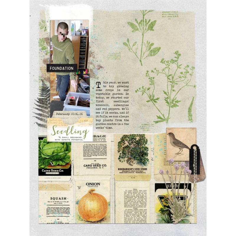 Seedling