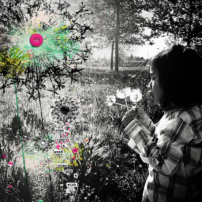 seeds of dreams