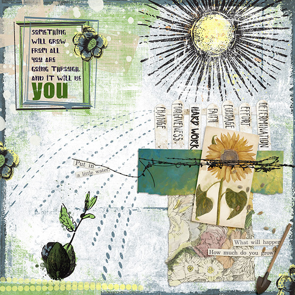 Seeds1