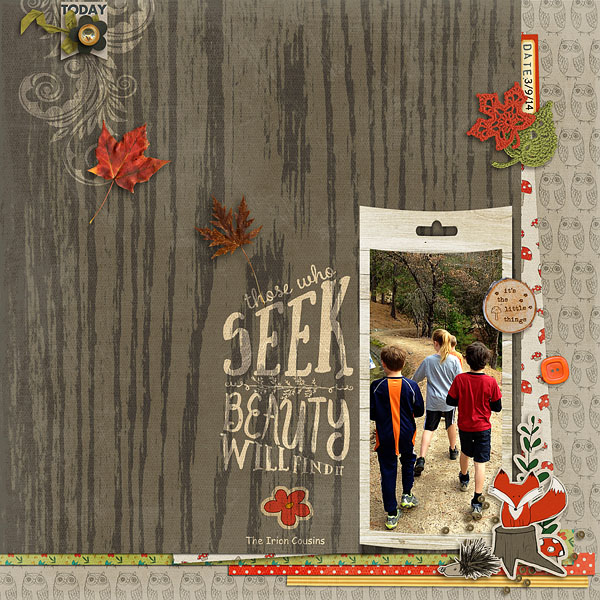 Seek Beauty
