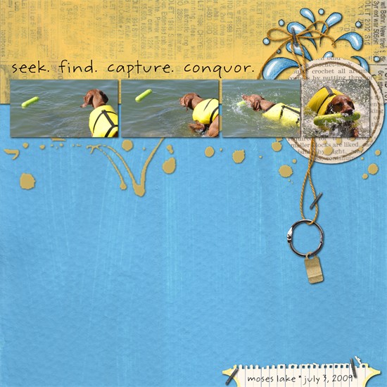 seek & conquor