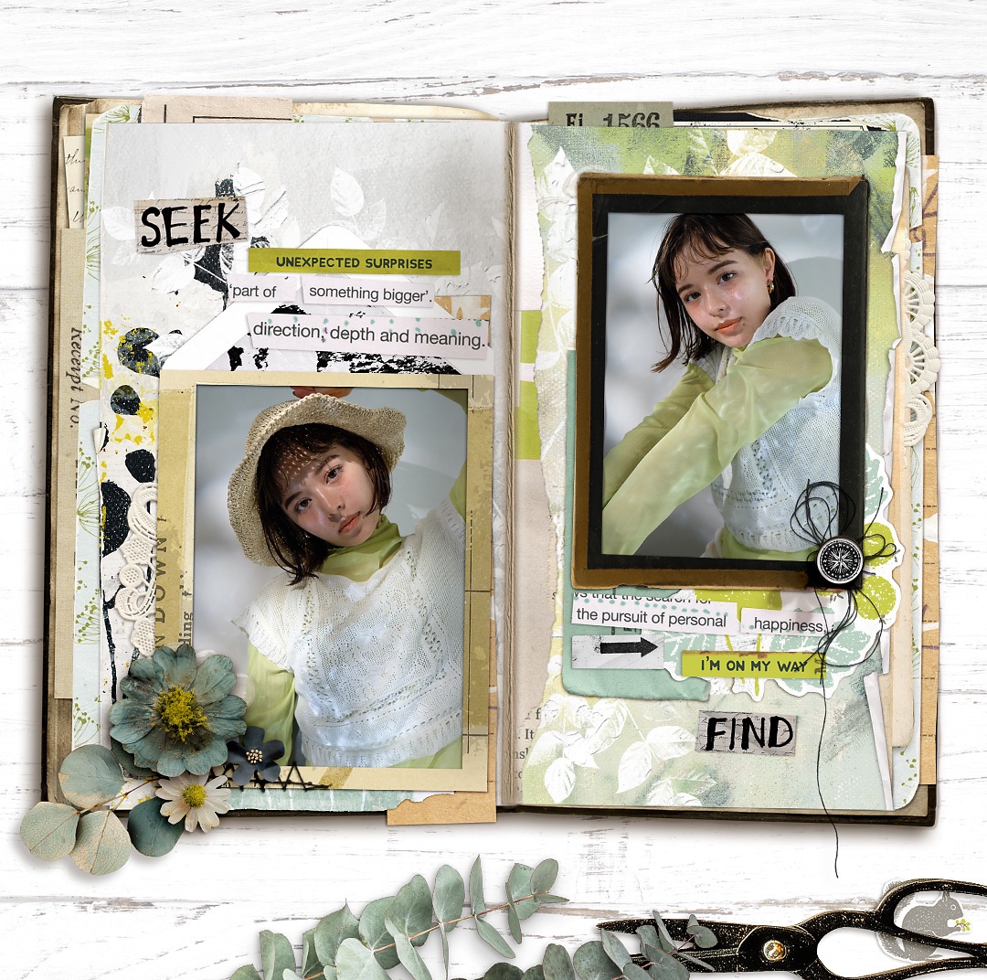 Seek & Find