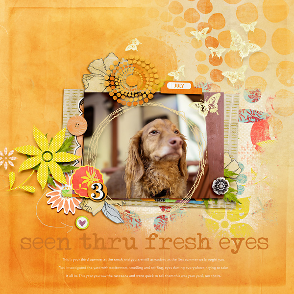 Seen Thru Fresh Eyes